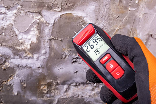 Mold Removal and Inspection in Brielle, NJ