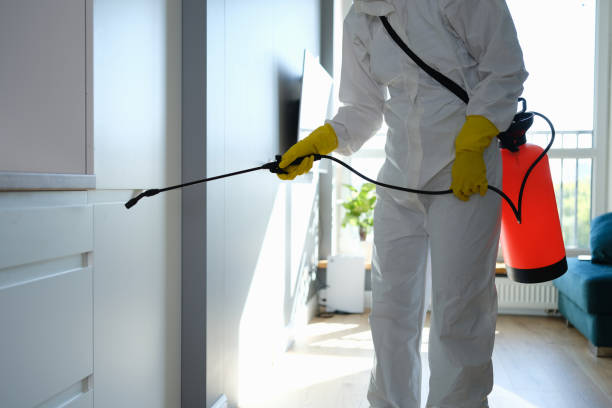 Best Home Mold Removal  in Brielle, NJ