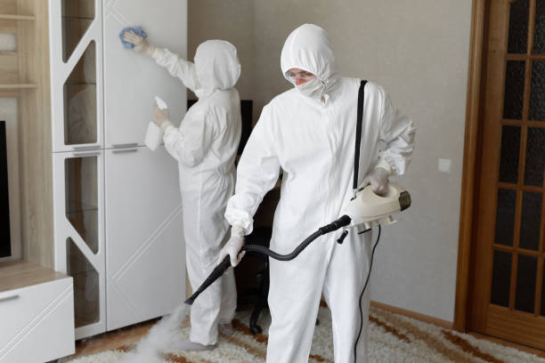 Best Commercial Mold Removal  in Brielle, NJ