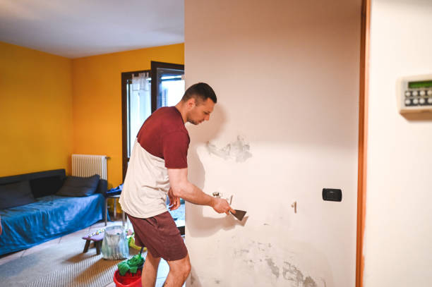 Best Mold Removal Process  in Brielle, NJ